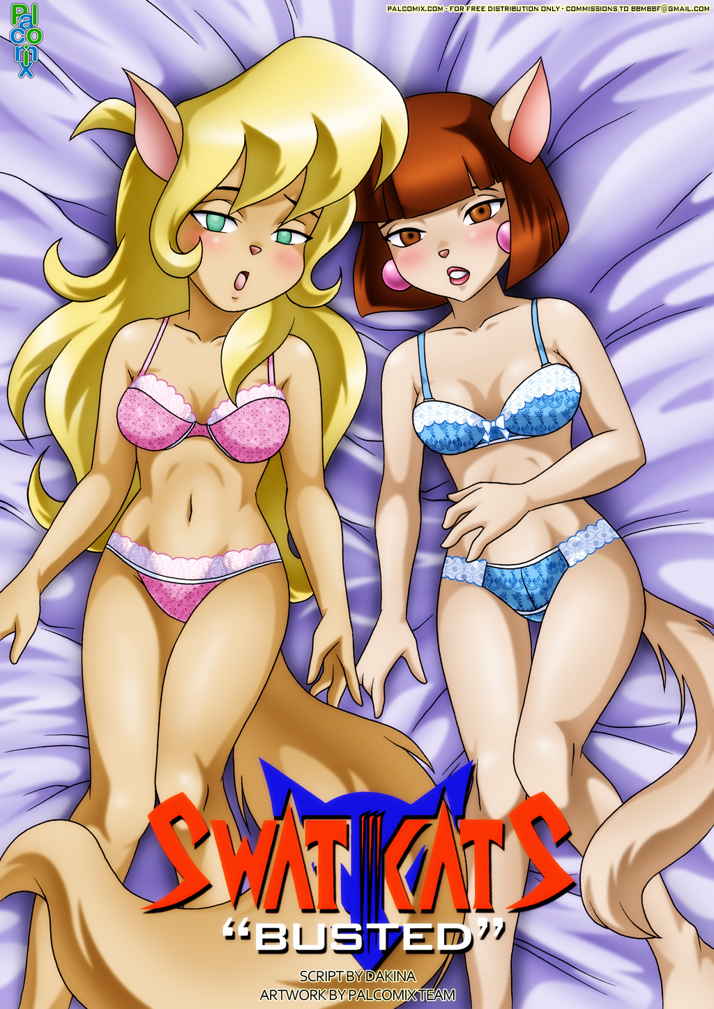 swat cats "busted"cover