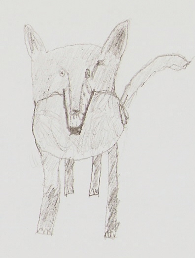 Wolf sketch