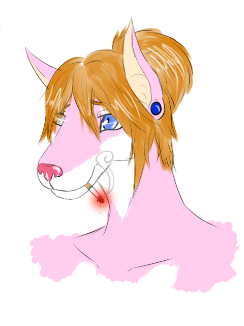 My Fursona