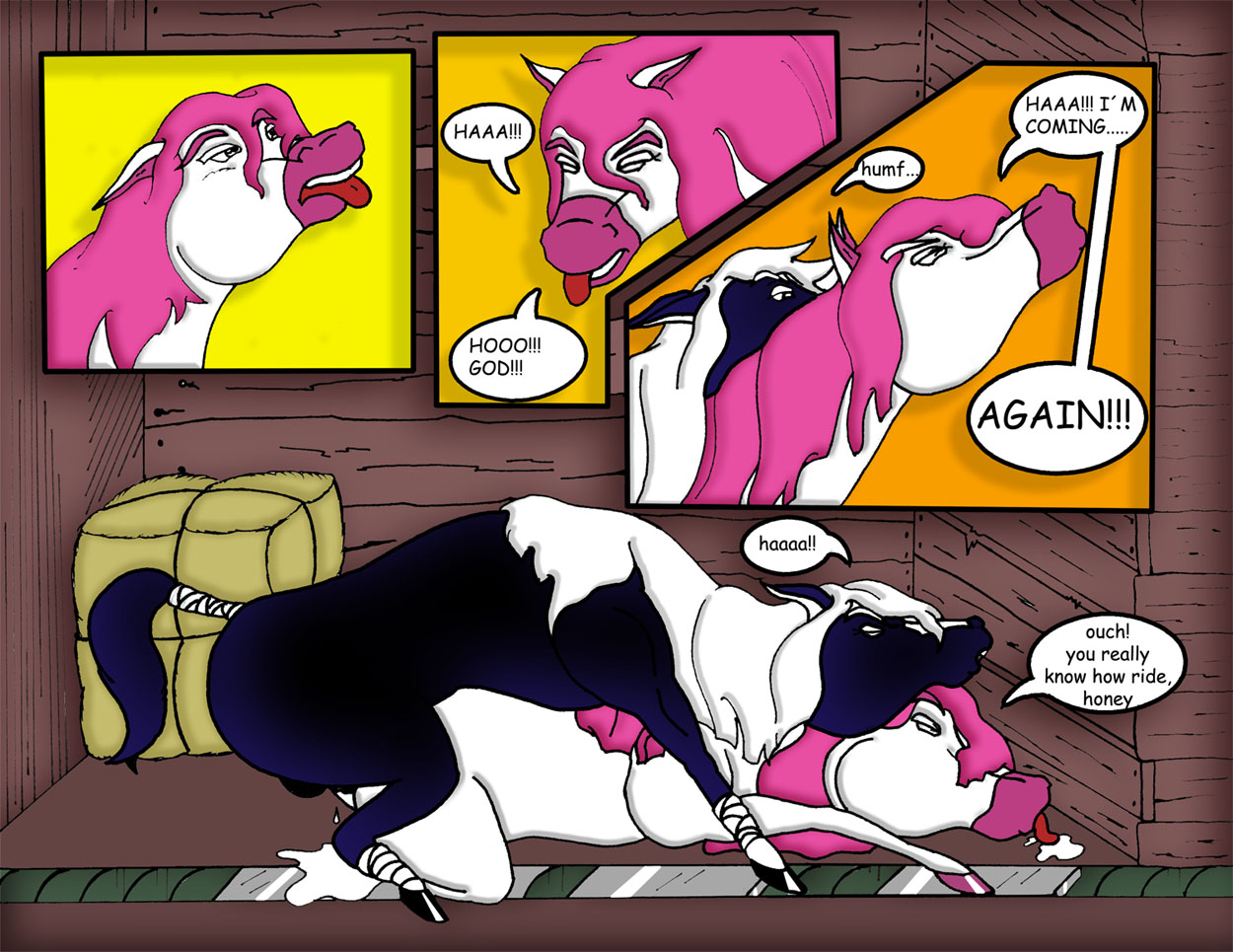 horse's sex