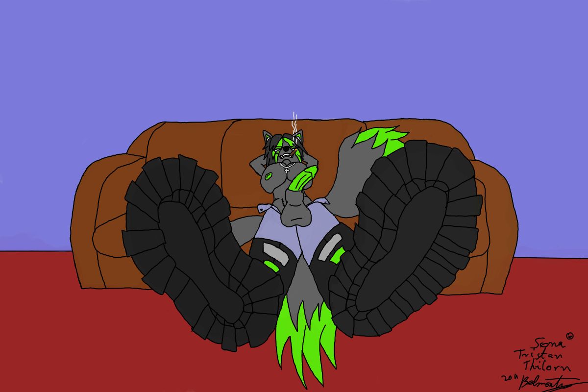 BelmontWolf