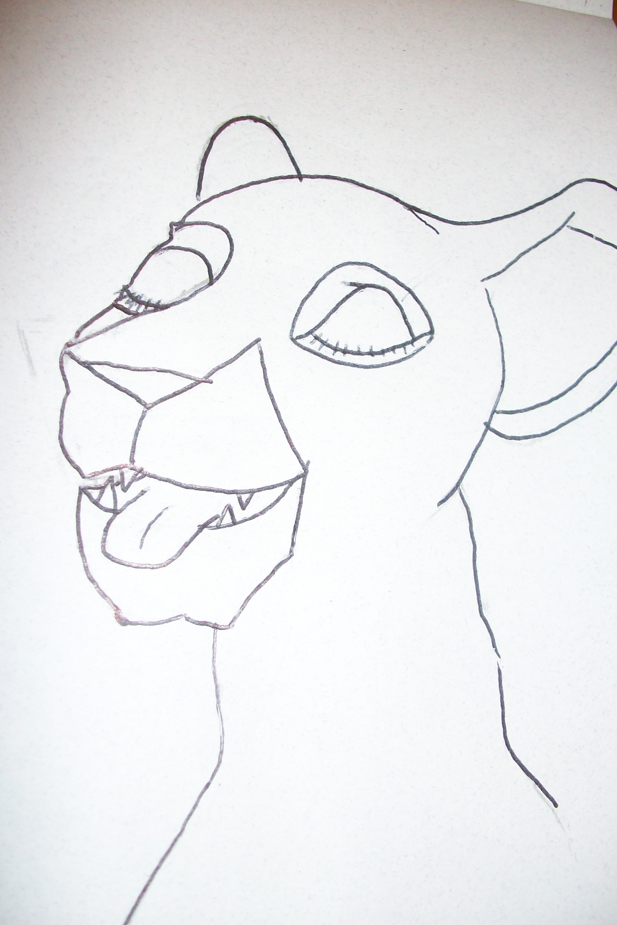 Top Lion Facial Study
