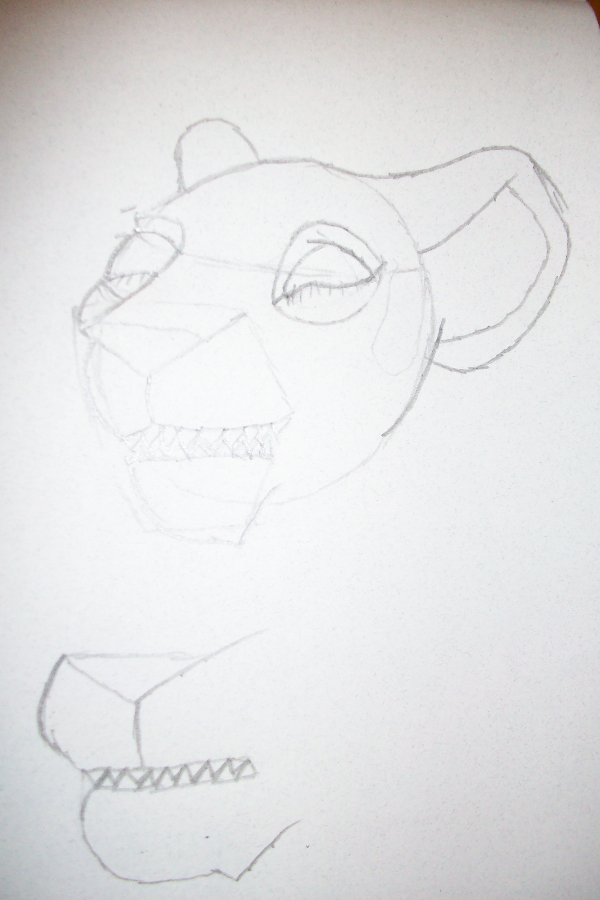 Bottom Lion Facial Study