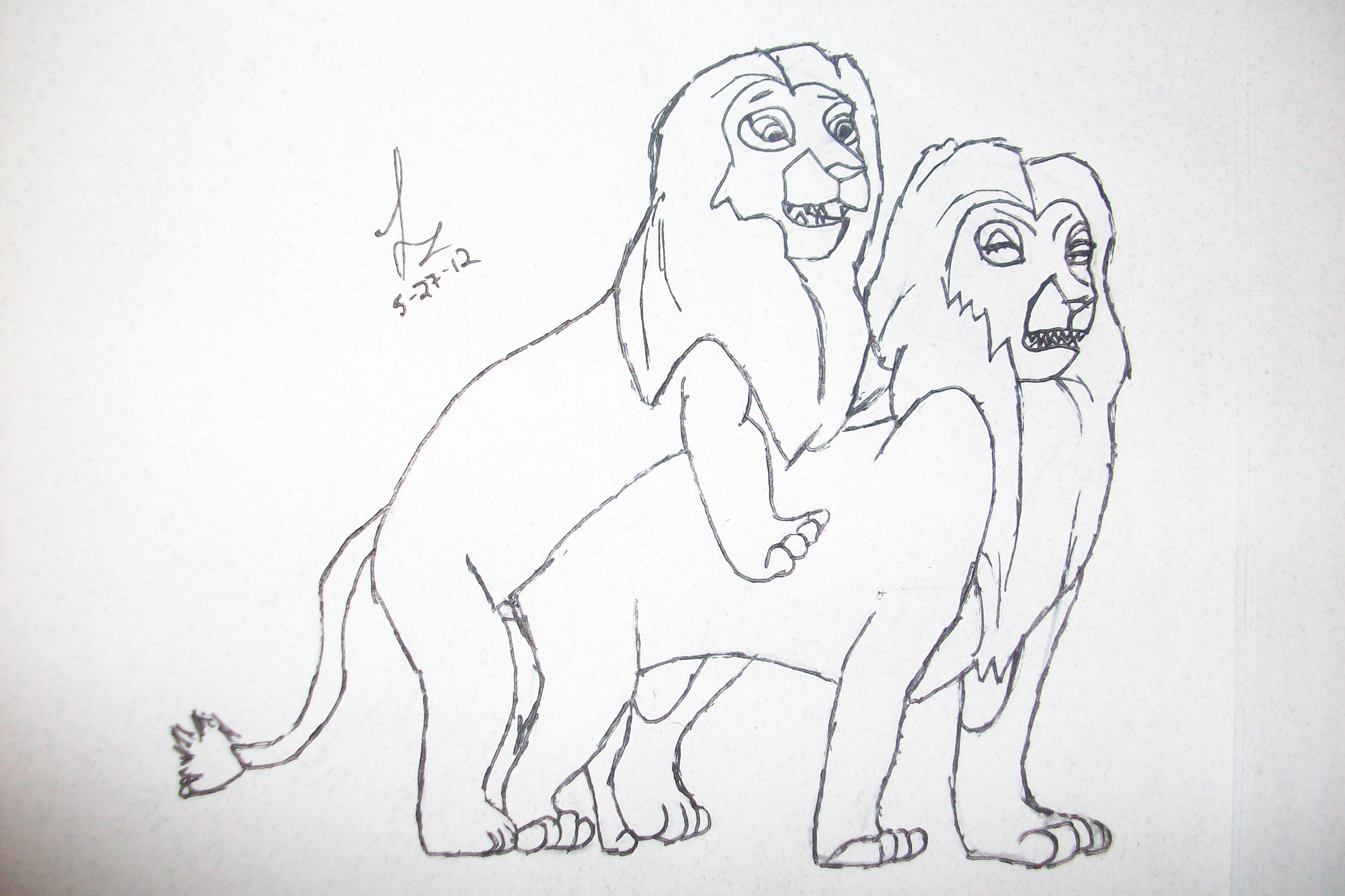 Two Lions