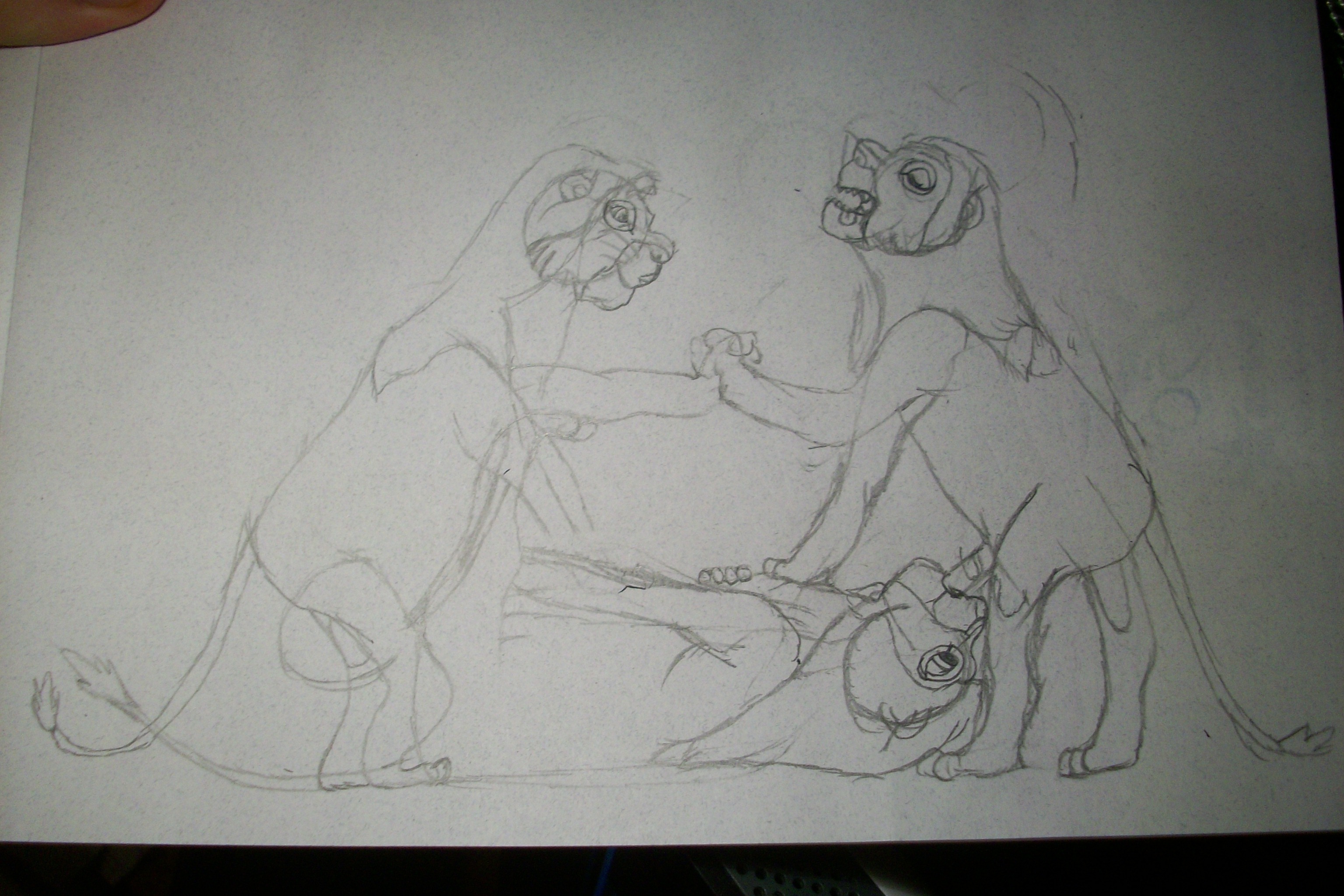 "Three Lions" Facial Features Sketch