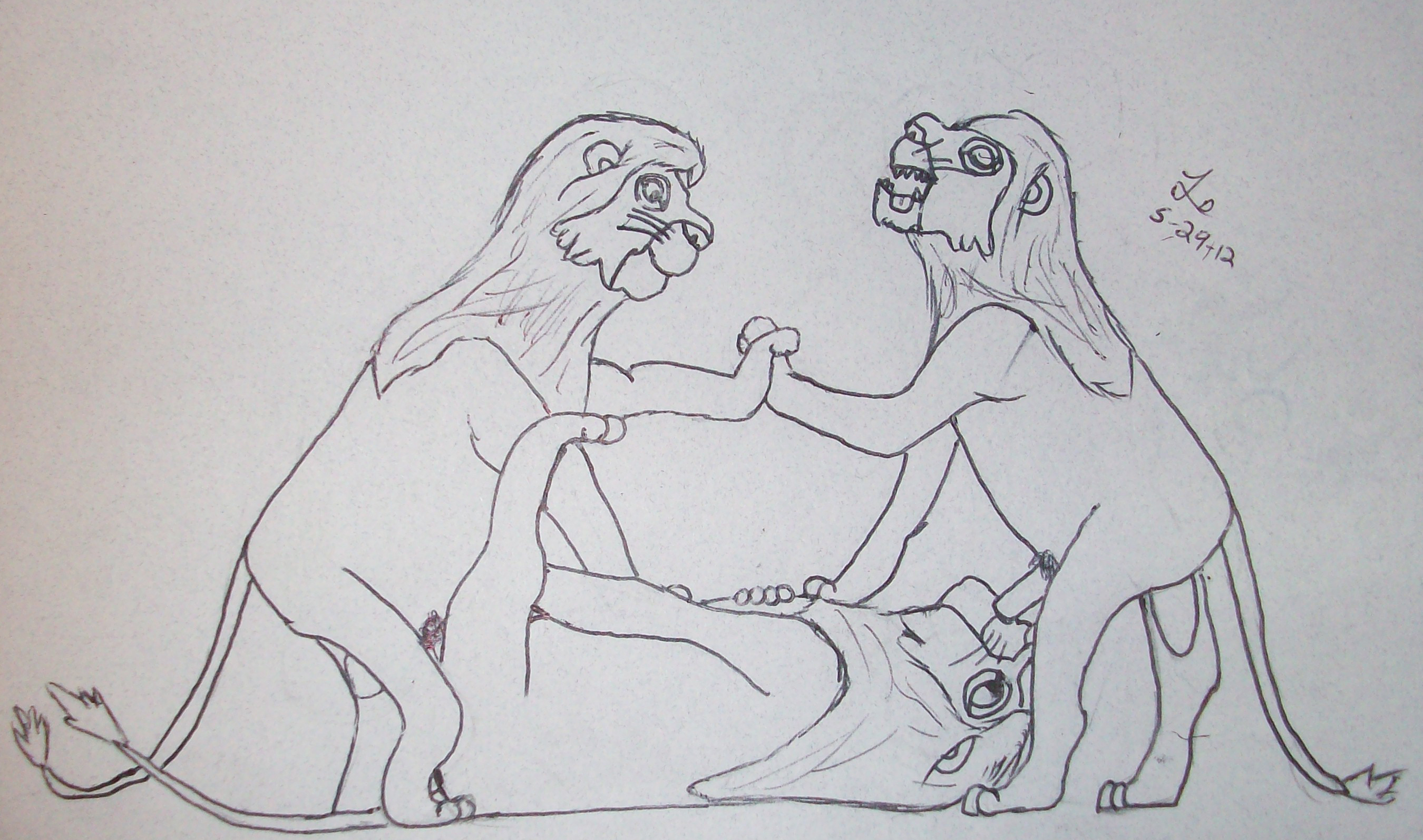 Three Lions Three Lions