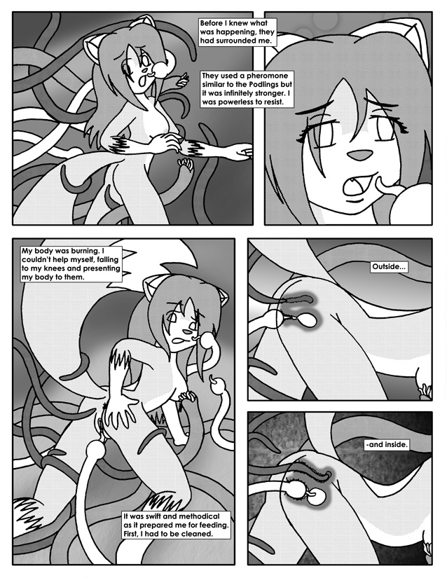 Page 36 Page 36