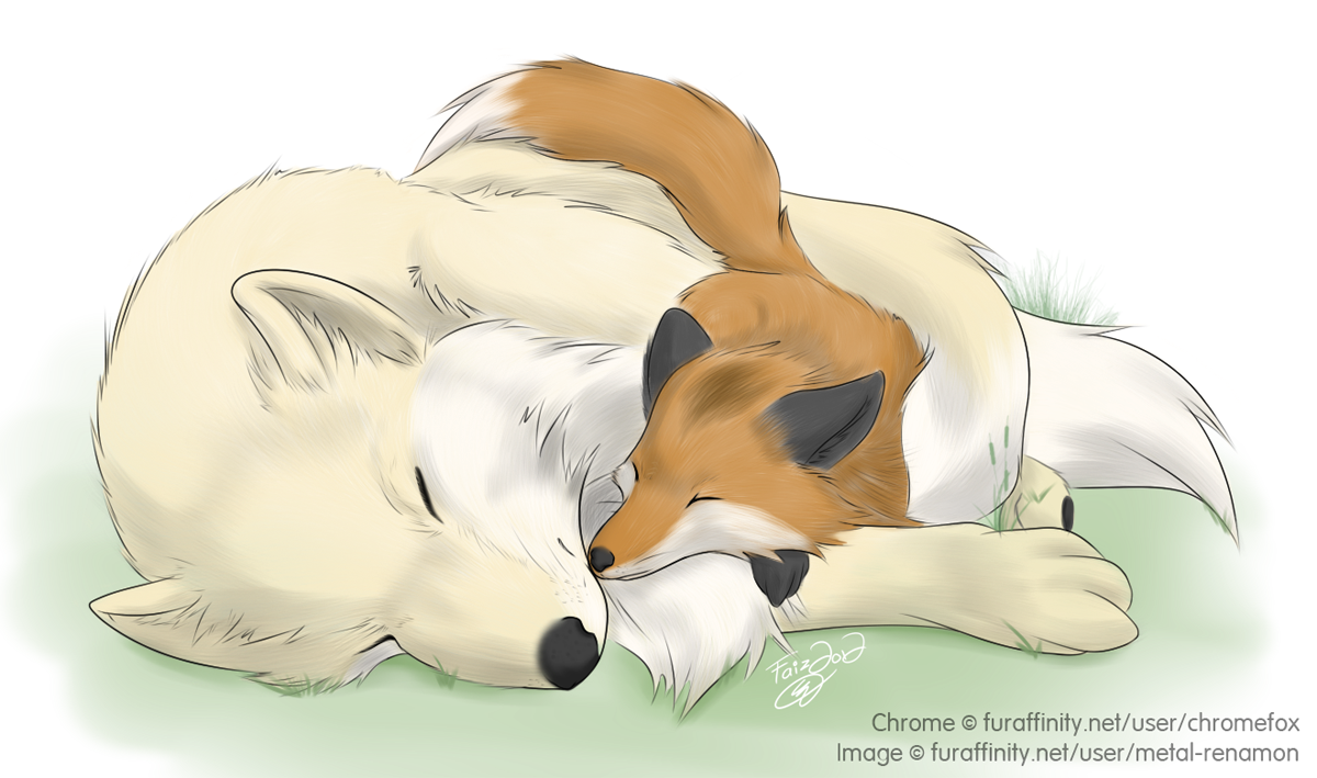 Afternoon Nap