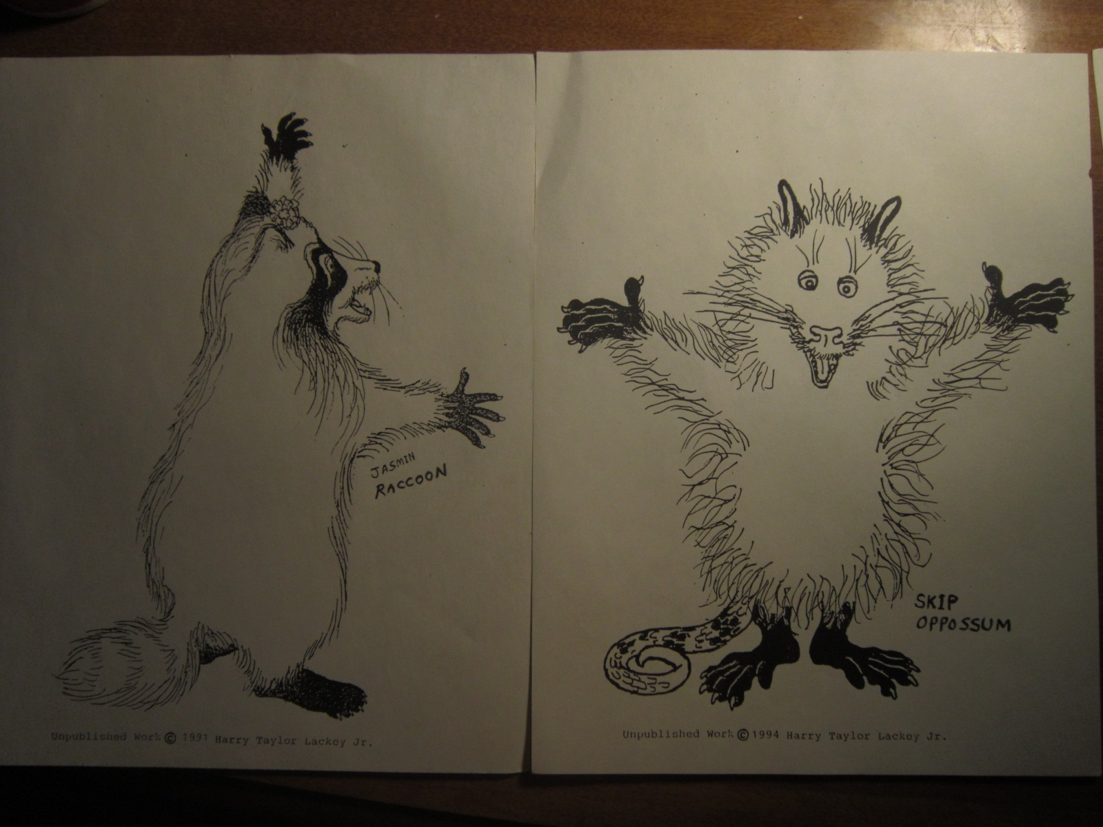 'Coon 'n' Opposum