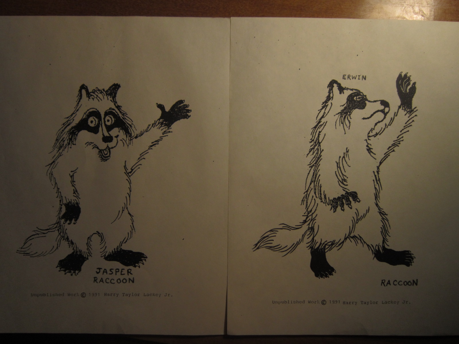 'Coon Brothers 'Coon Brothers