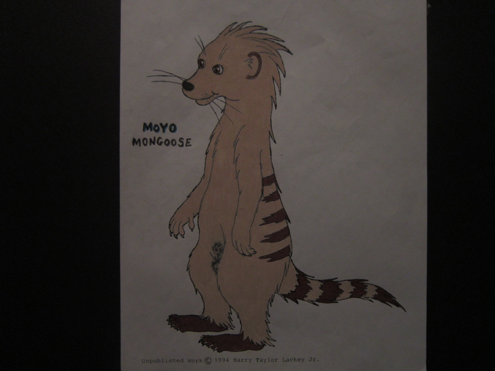 My Fursona as Moyomongoose