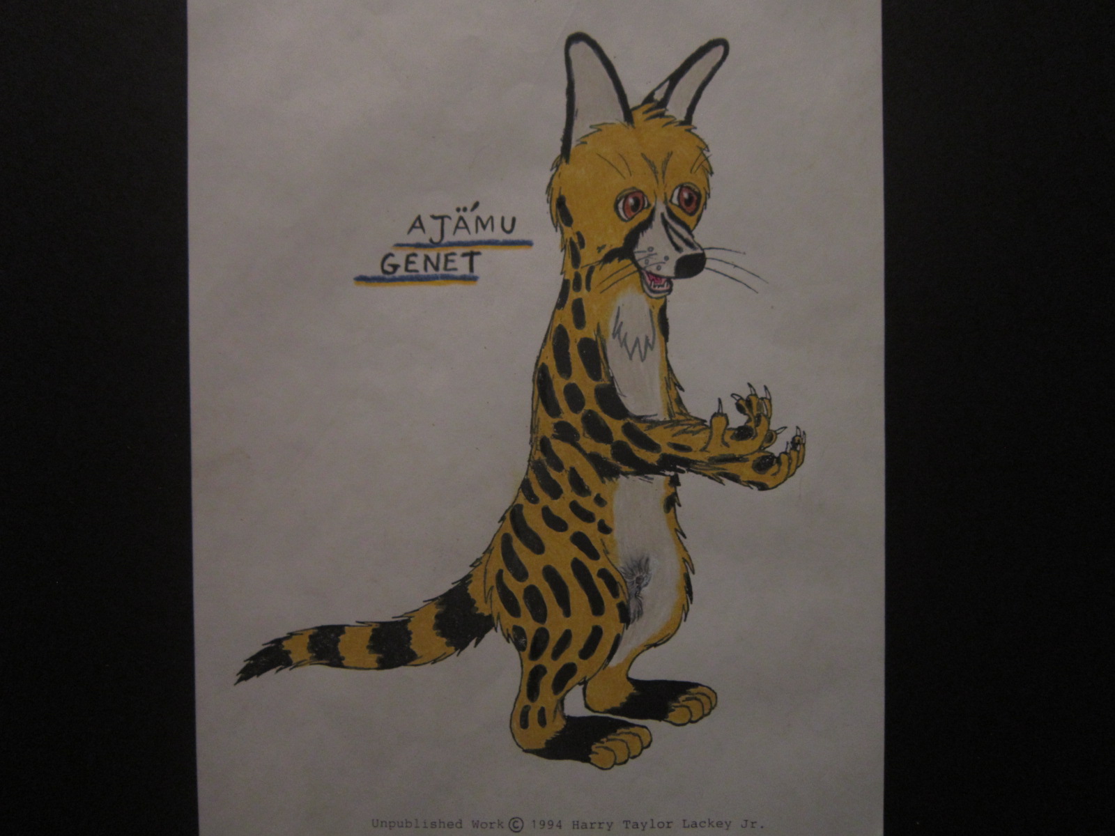 Young Genet