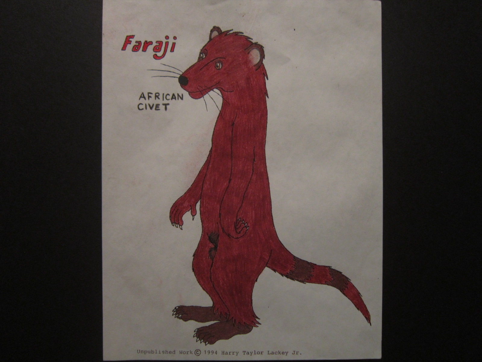 Faraji Civet