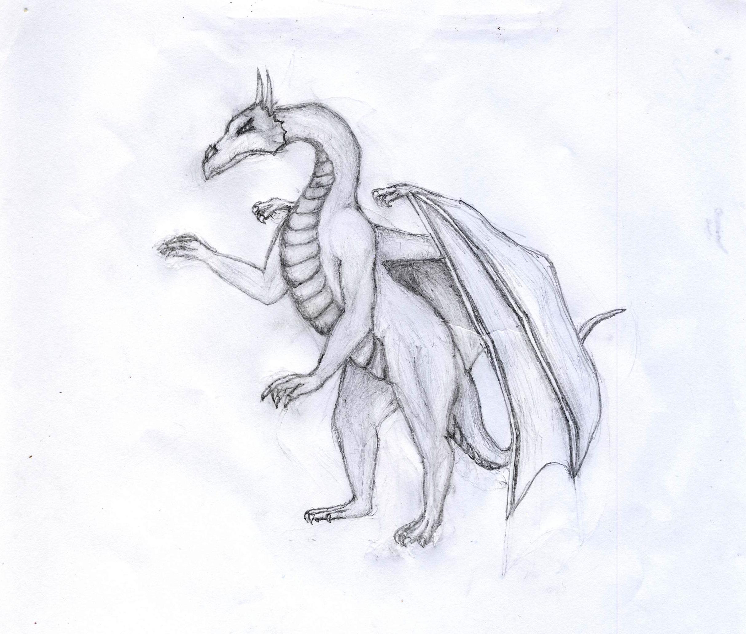flying lizard