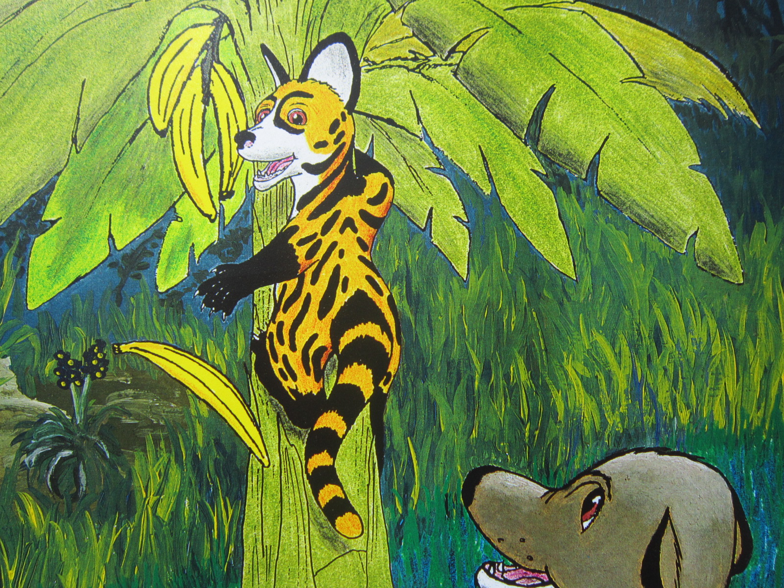 Nico and Pancho #2 Nico in the Banana Tree.