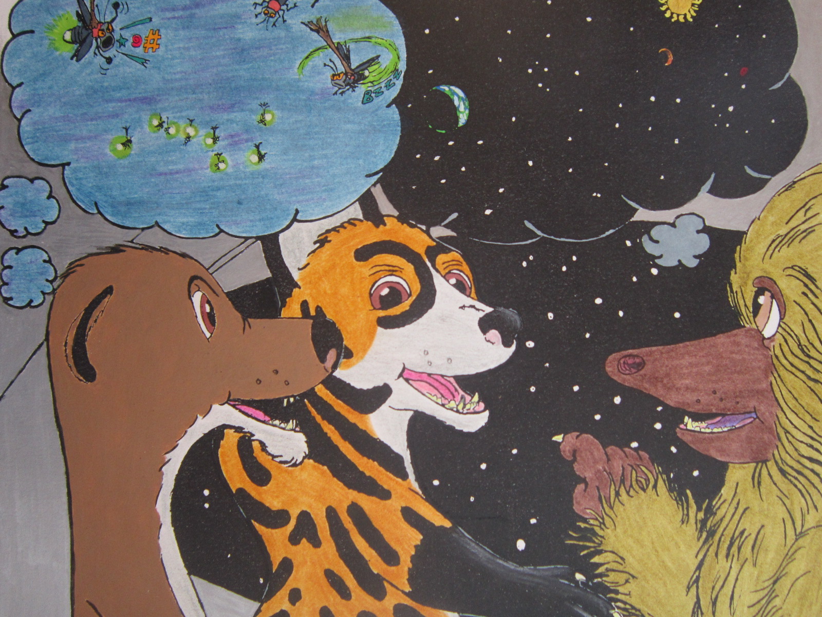 Nico and Pancho #19 What Are the Stars