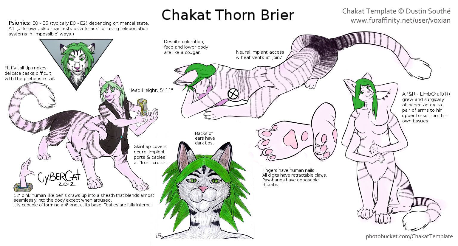 Ref Sheet