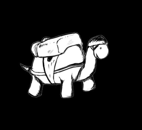 Rocket Turtle away!