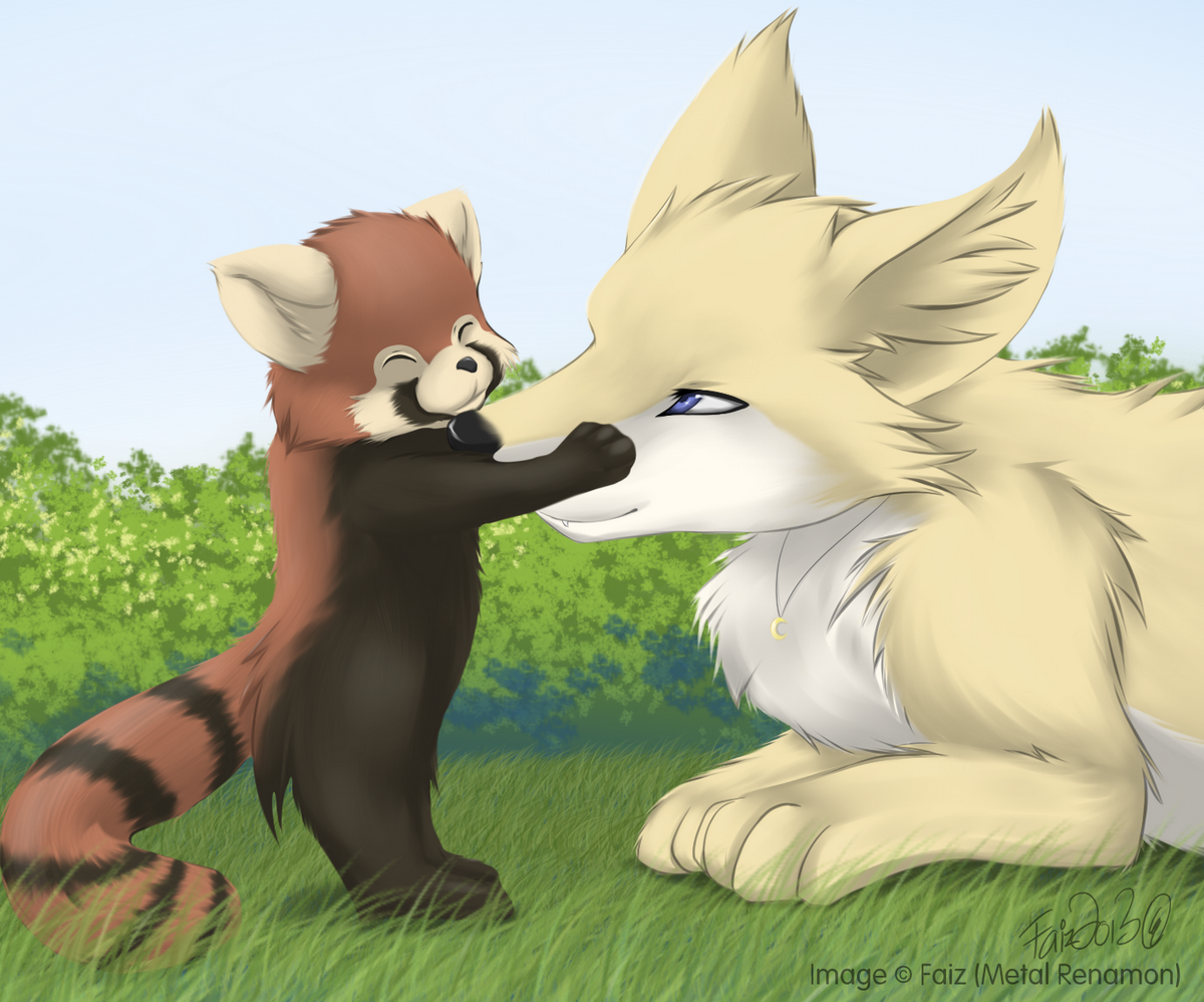Muzzle Hug Muzzle Hug