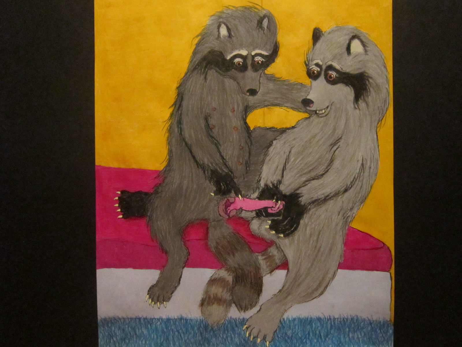 Rachael and Jody Raccoon 