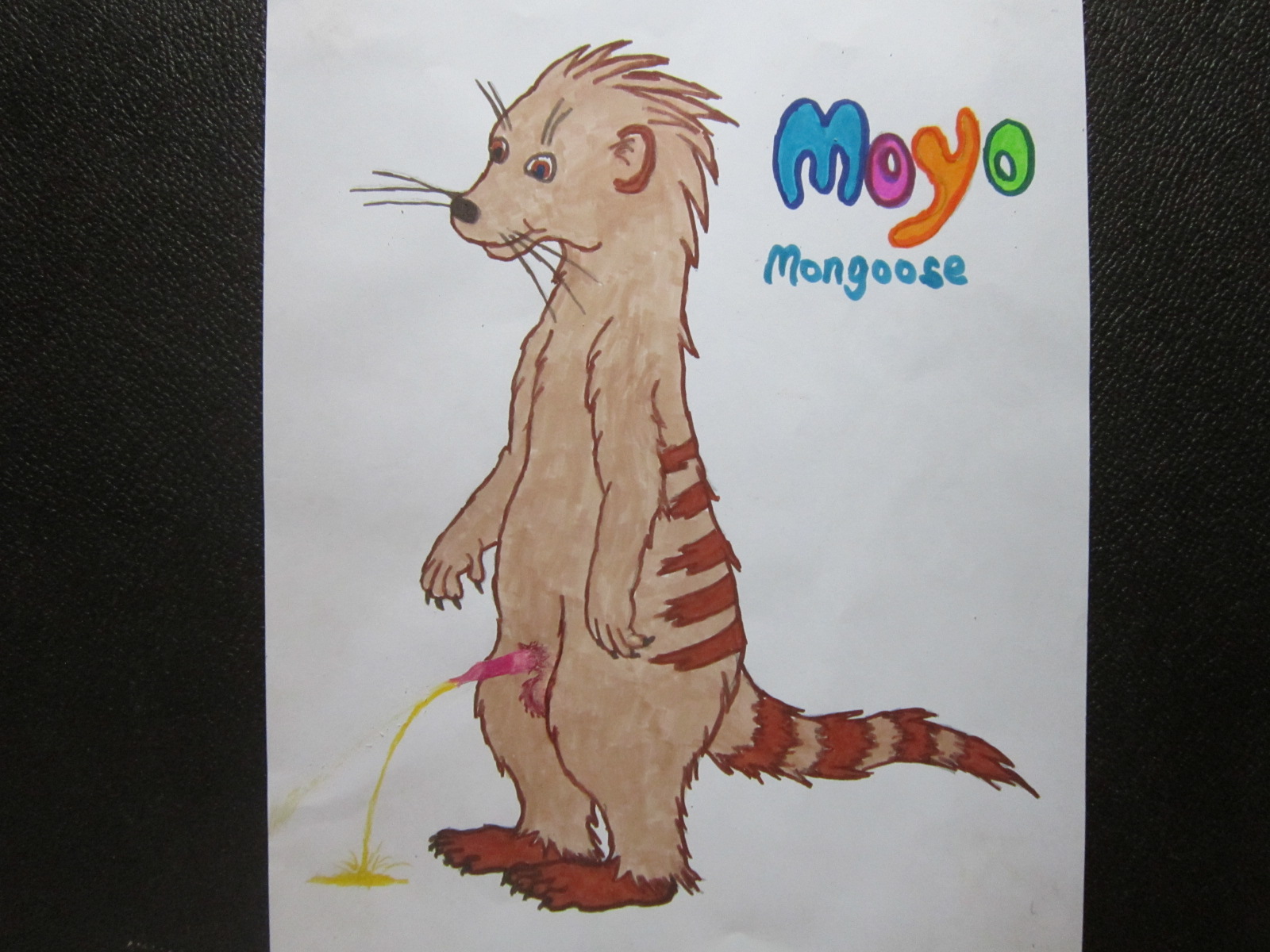 Moyomongoose Peeing Out of Sheath