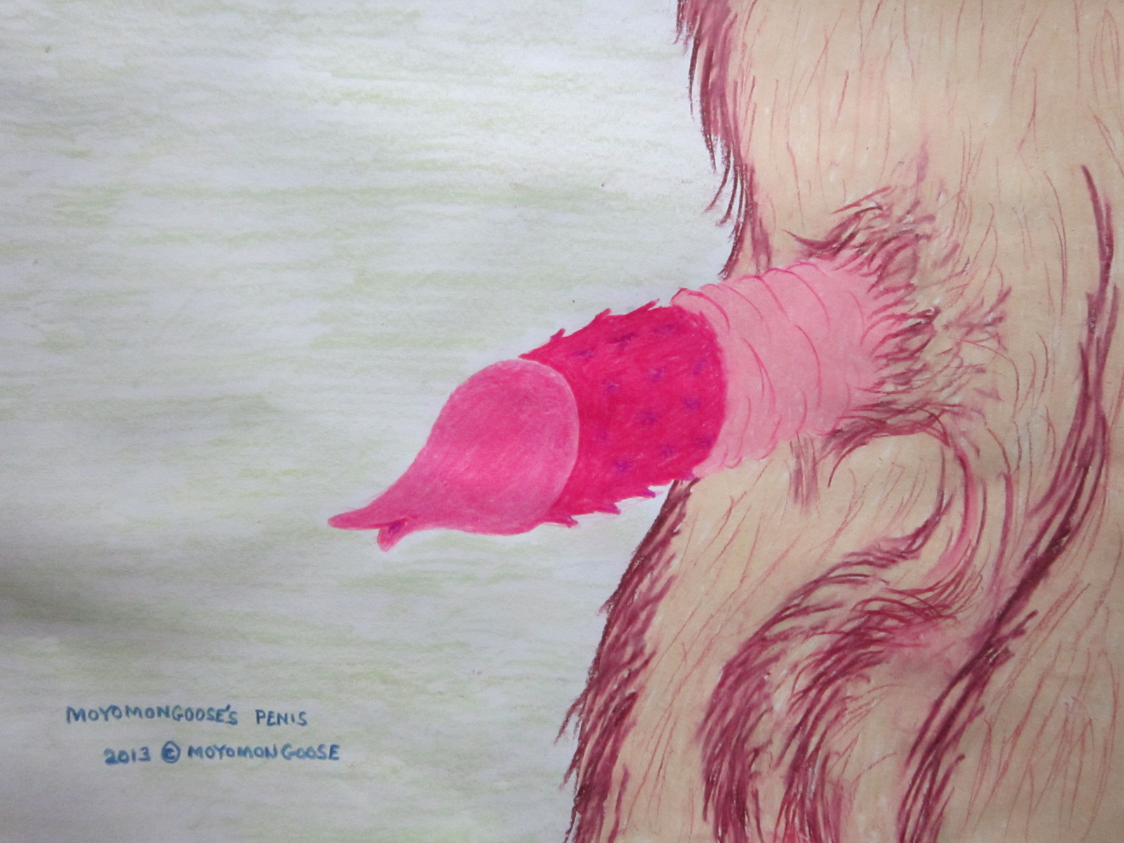 Full View of Moyomongoose's Malehood