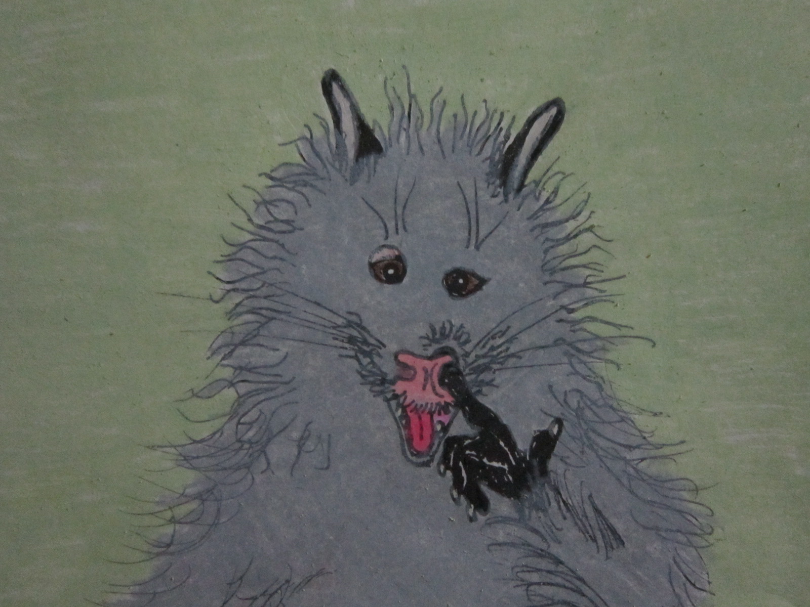 Opposum Pick a Nose