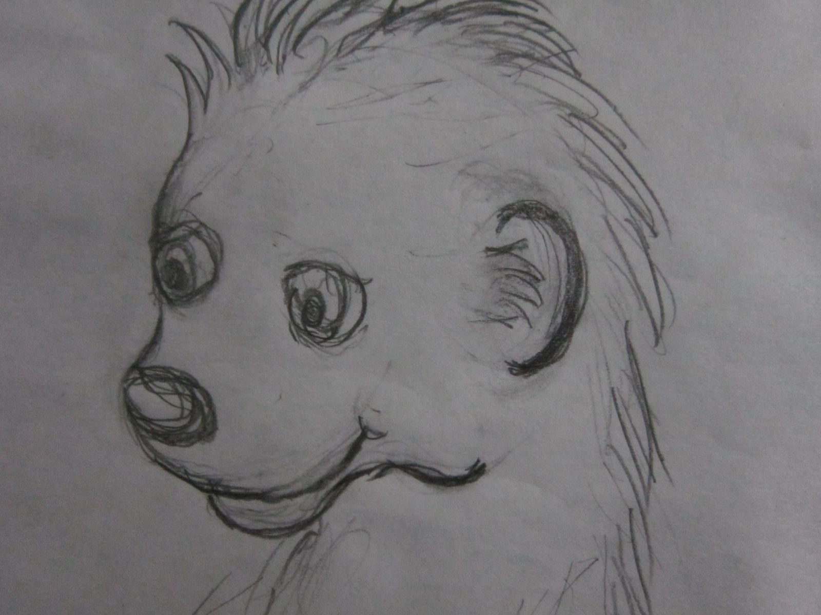 Moyomongoose as a Cub