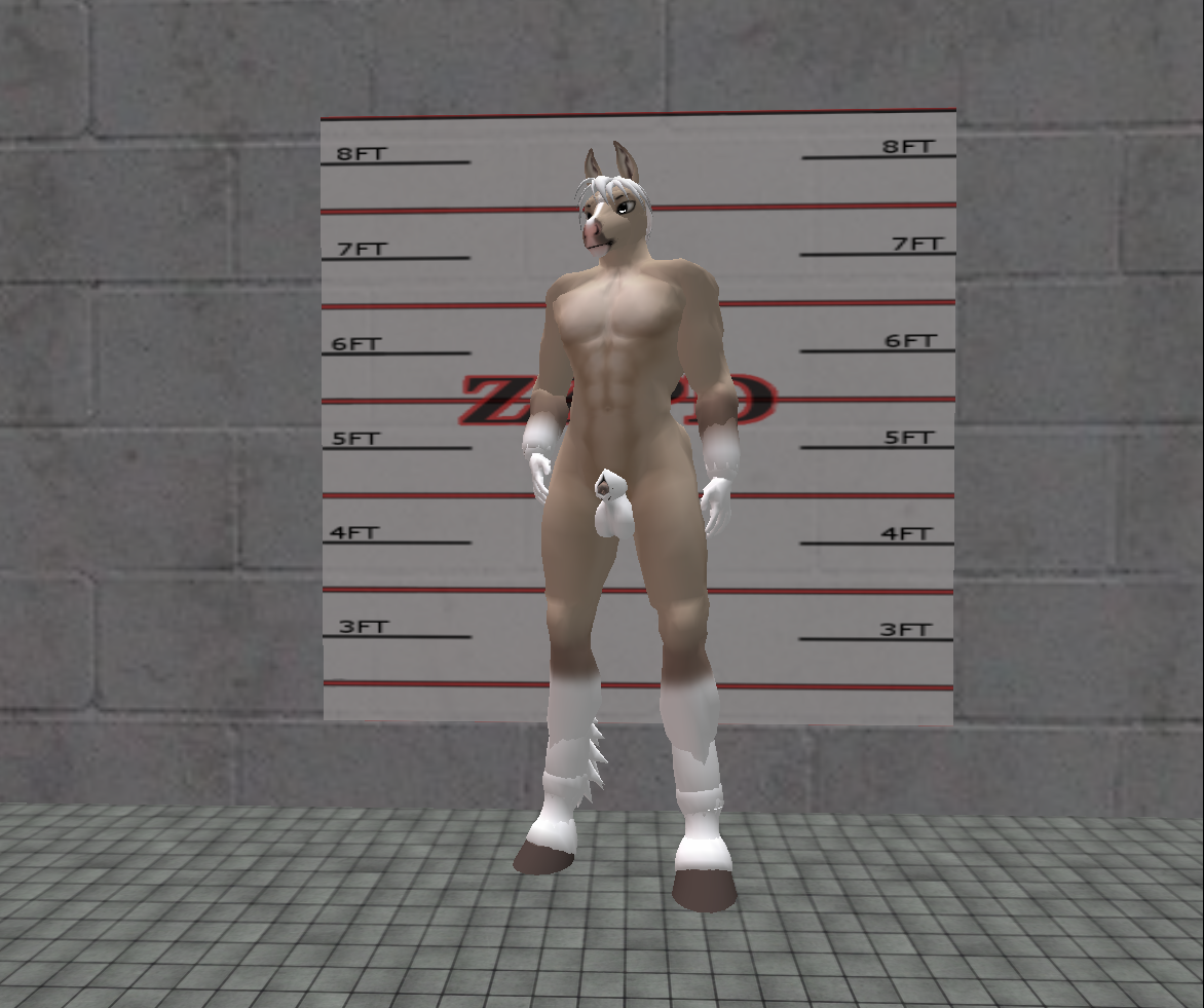 sexy tall and dominant stsllion