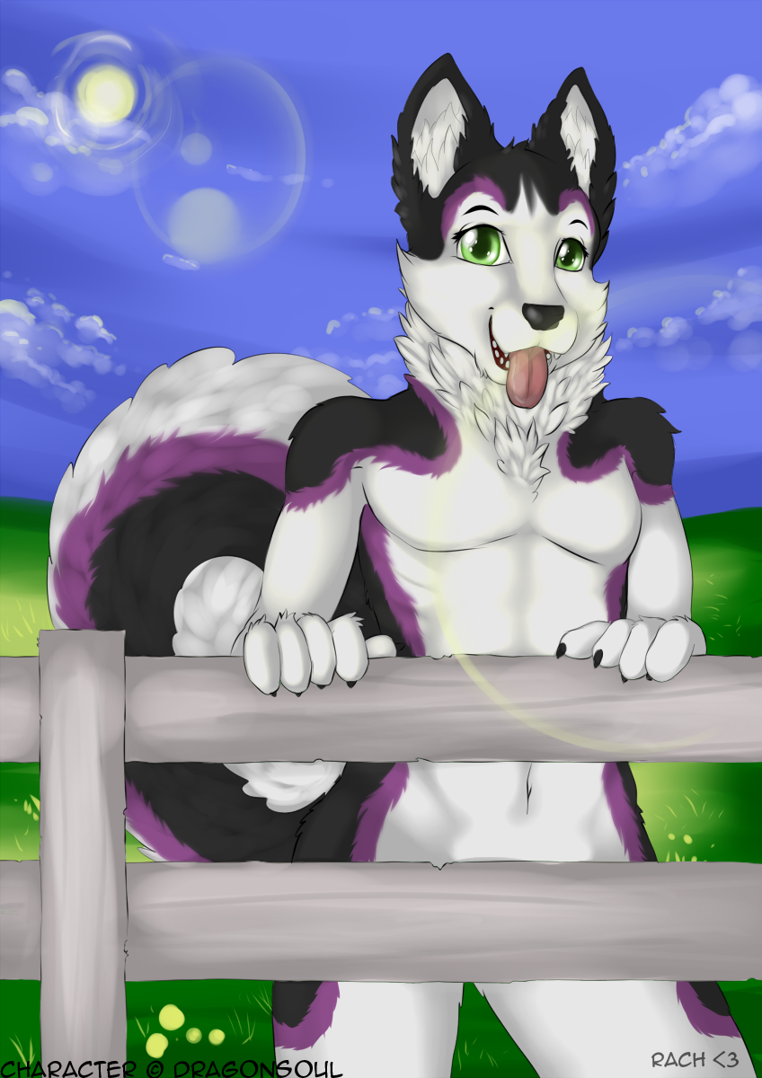 Uskie - My fursona
