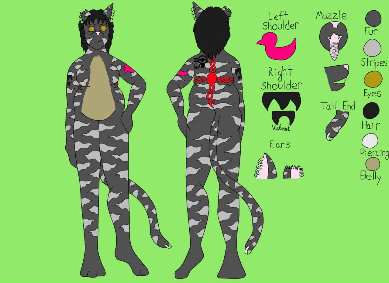 Shadow's Ref Sheet