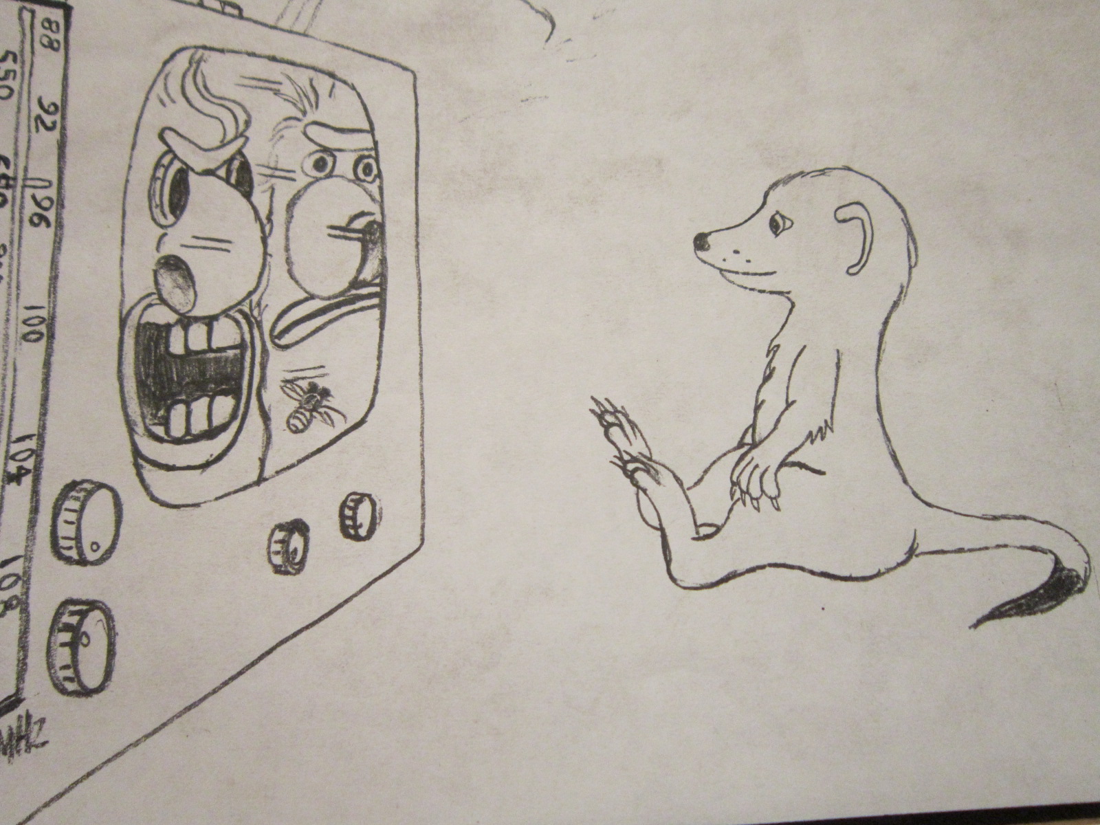 Raphael Meerkat Watches the Grit and GrimyShow