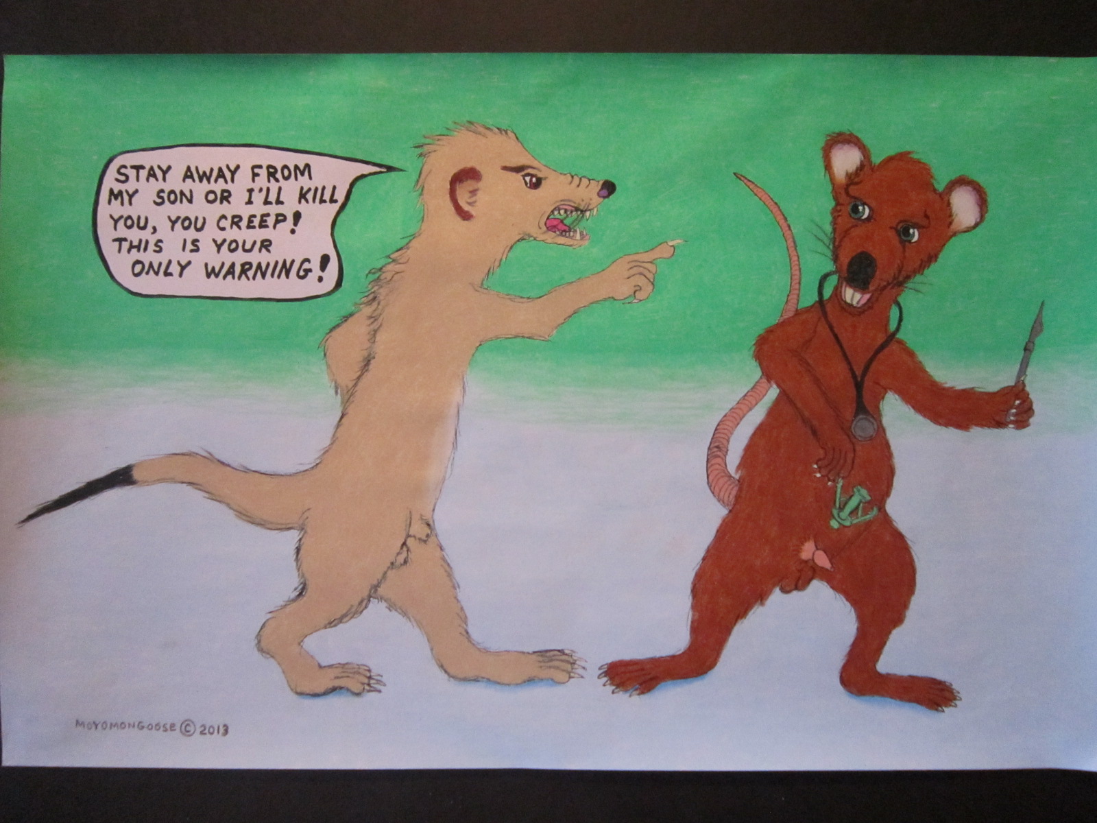 Circumcision Attempt and History of the Meerkats