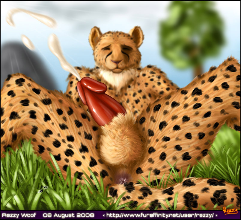Cheetah spooge Cheetah spooge