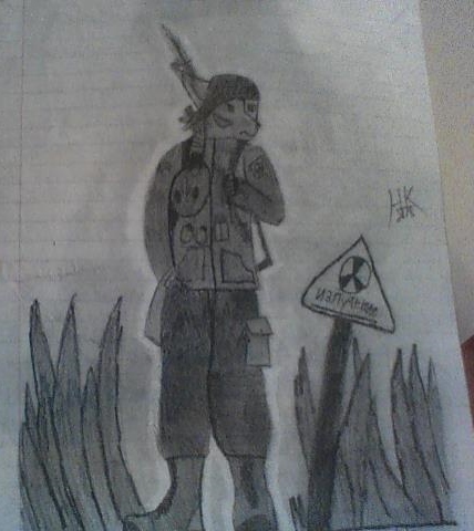 STALKER- Swamplands