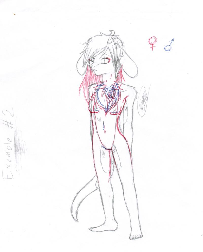 Example 2 for Dragibunny