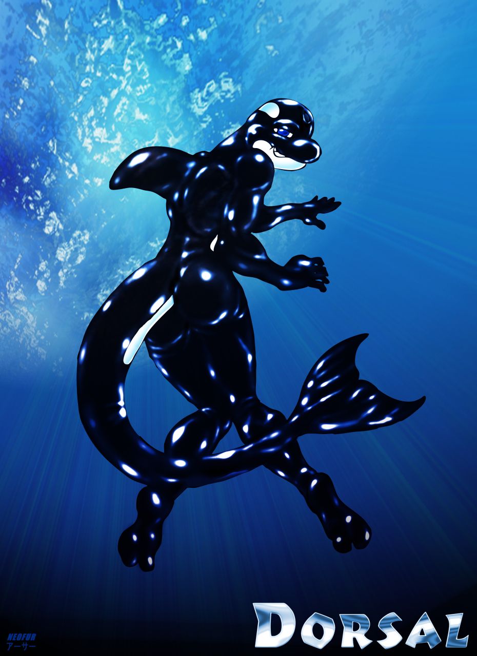 Dorsal the Latex Orca