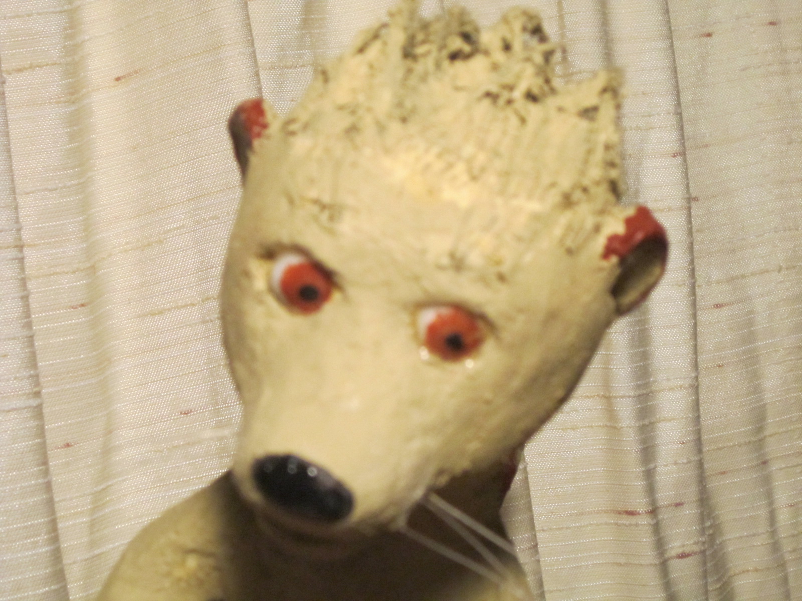 This is Moyomongoose