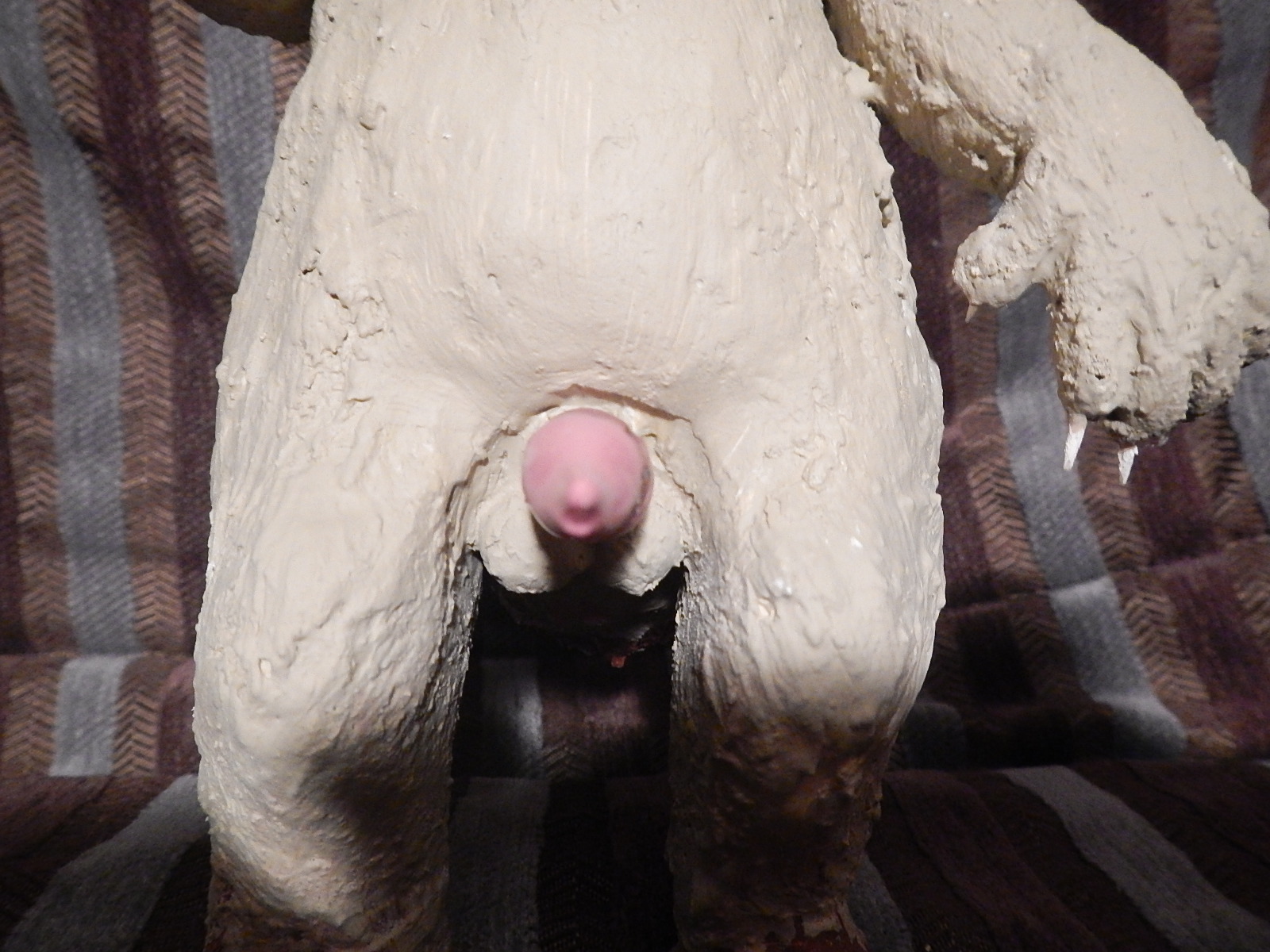 Moyo's Penis Front view