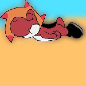 Brakin Sleeping