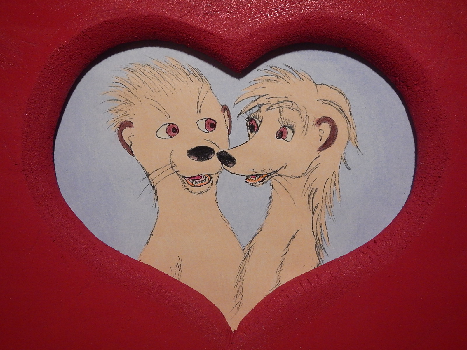 Valentine's Day 2014, Moyo and Jamila Mongoose