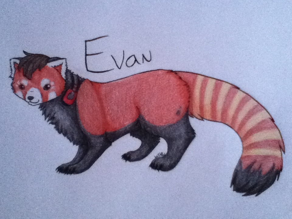My fursona My fursona