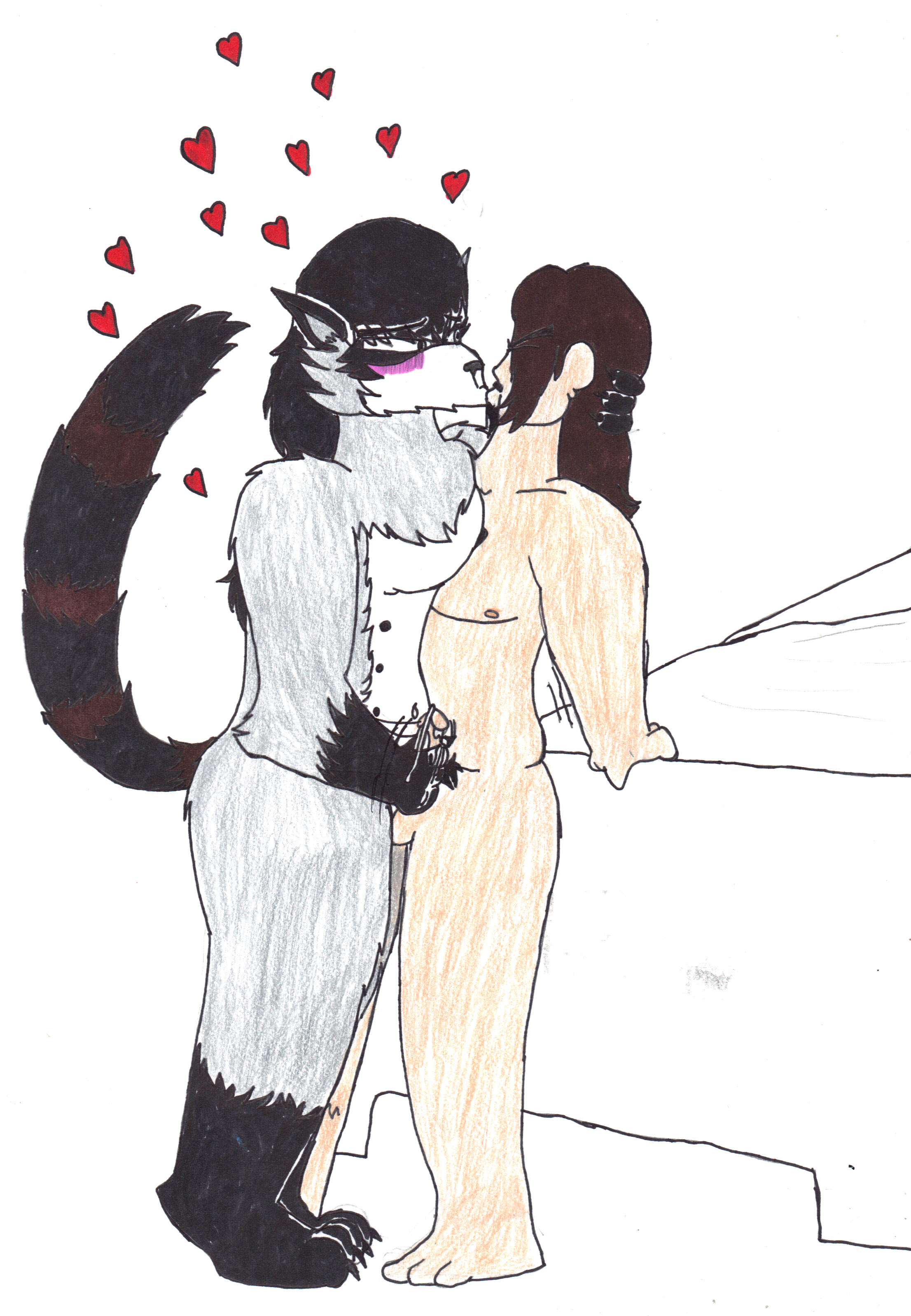 Raccoon+human-2/2