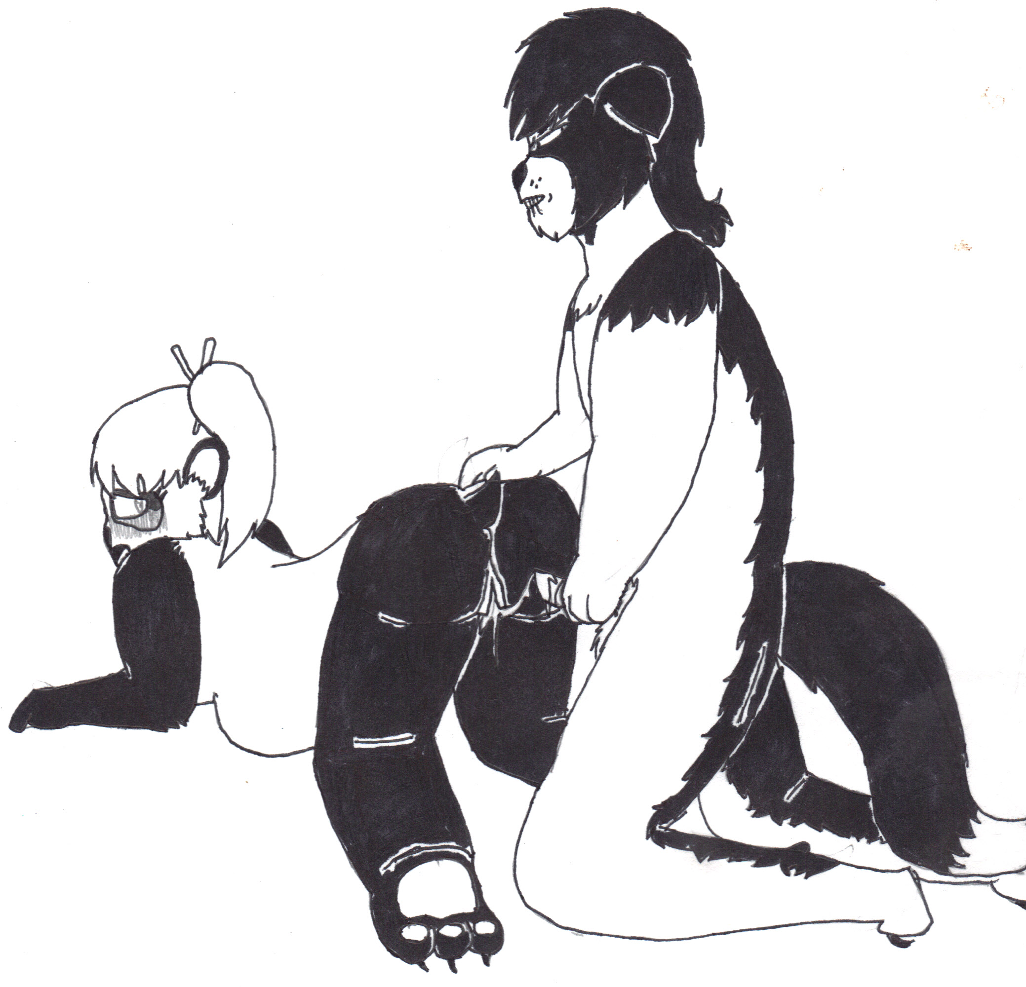 Collie and Panda
