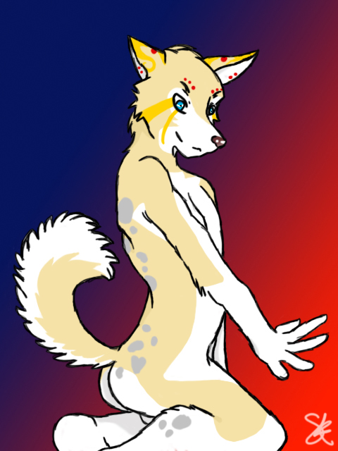 Conie 2