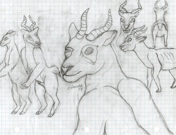 impala