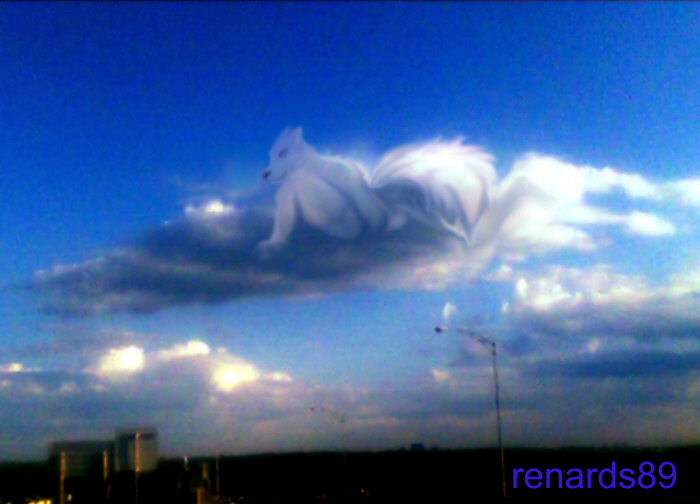 wolf in sky