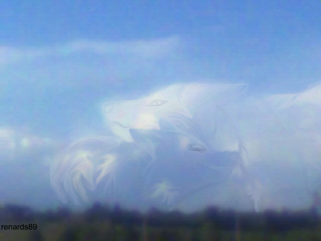 2 wolf
