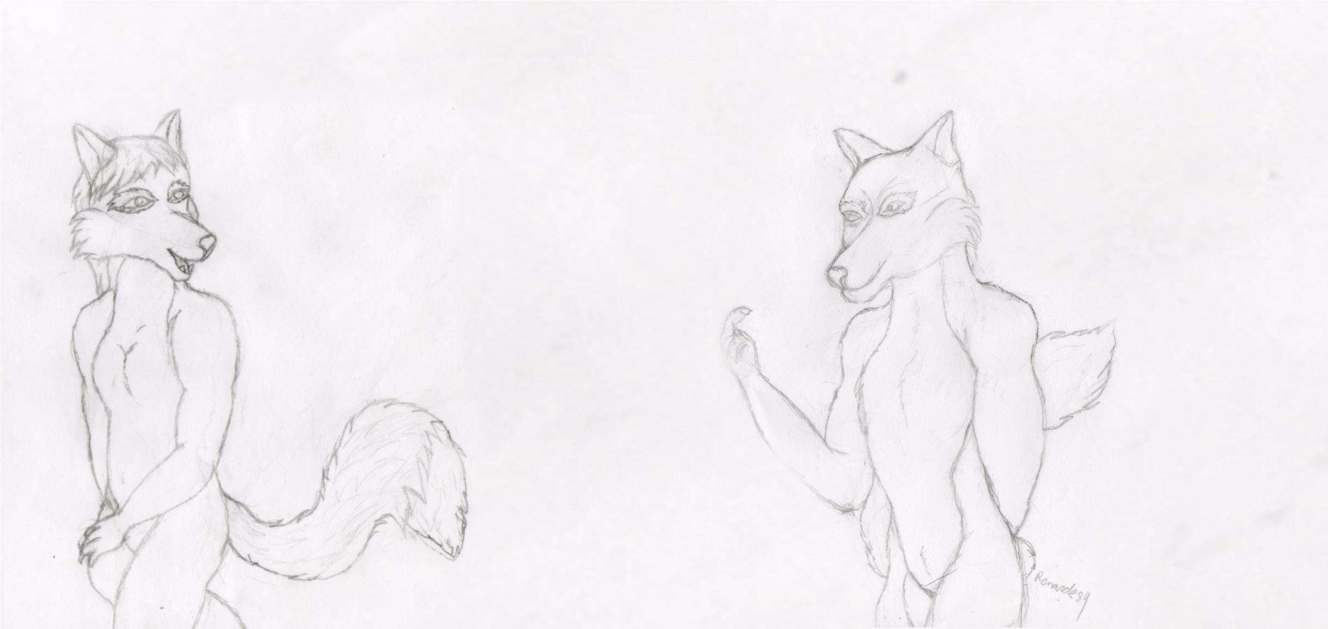 fox end wolf