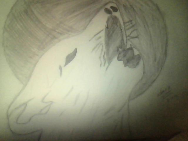 my Fursona